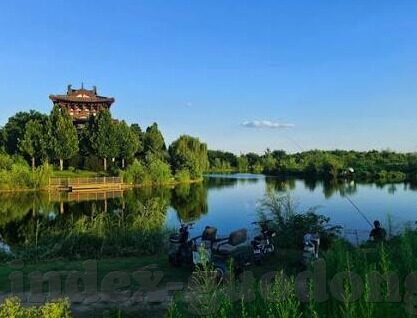97超碰成人视频-97超碰成人视频，网络世界的灰色地带与道德边界