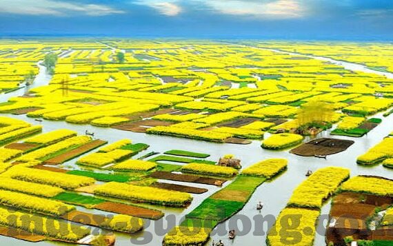 丁香五月成人视频-丁香花开，五月里的成人世界