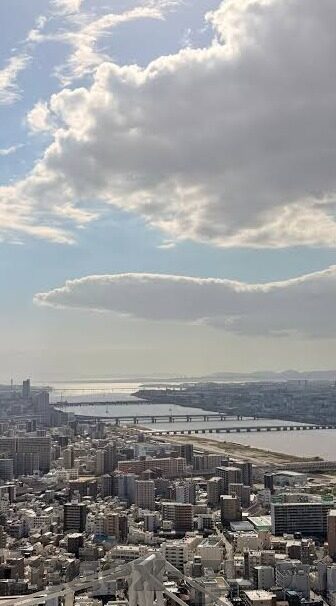 果冻传媒何苗视频-探索果冻传媒何苗视频，创意与艺术的完美融合