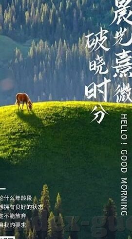 麻豆传app-麻豆传APP，数字化生活的时尚助跑器
