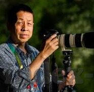 麻豆传媒女艺人排名-麻豆传媒女艺人风采排名，魅力于光影之间的细腻绽放