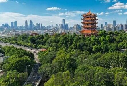 麻豆国产成人免费视频-麻豆国产成人免费视频，网络时代的文化反思与伦理考量