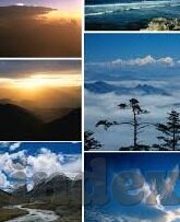 免费麻豆av在线天空传媒-当风轻抚你的心