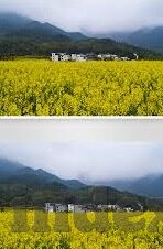 人妻17p-探索人妻角色的多维度视角