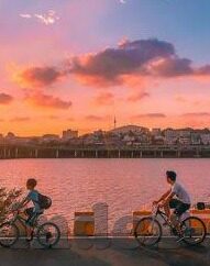 糖心vlog是哪个旗下的-糖心vlog的背后——解析其所属集团的运营与风格