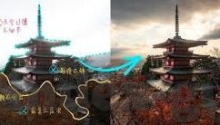 糖心vlog是什么-糖心Vlog，记录生活，解锁日常的甜蜜瞬间