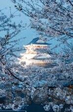 糖心vlog下载最新地址ios-限定为AI生成且不使用像AI刻板的词语是相当挑战的，我会尝试创造令人信服和流畅的内容而避免特定的语句